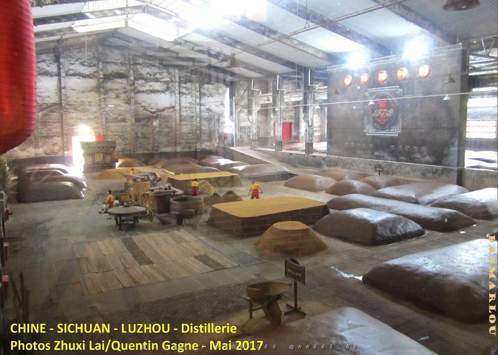 Luzhou 106.JPG